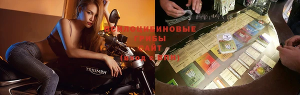 apvp Козловка
