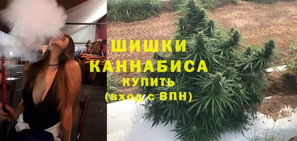 mix Козельск