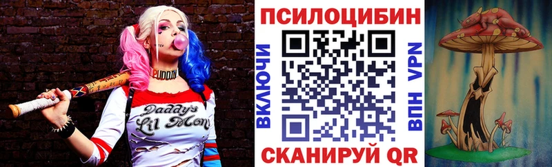 Купить  Макаров  Псилоцибиновые грибы ЛСД 