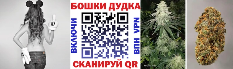 Купить Макаров Бошки Шишки MAZAR